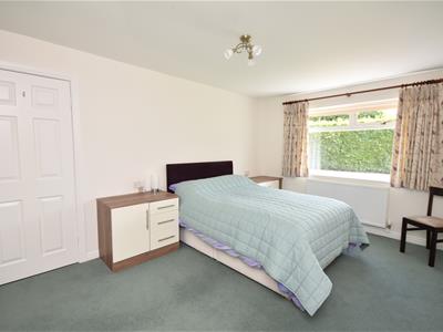 Picture 19